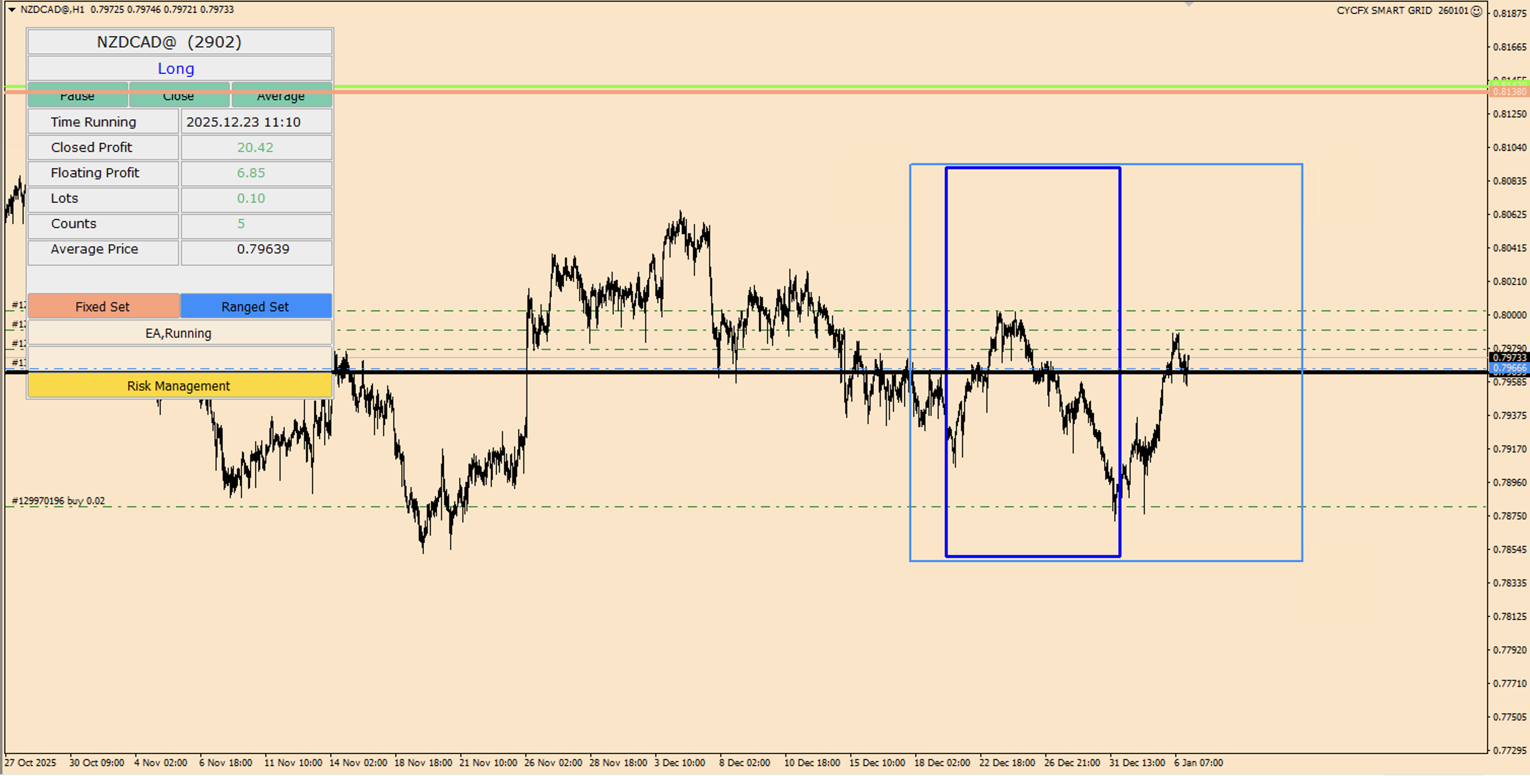 اکسپرت 12 ماهه Grid